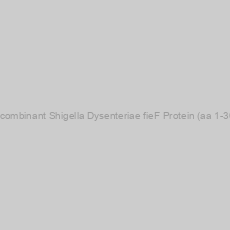 Image of Recombinant Shigella Dysenteriae fieF Protein (aa 1-300)